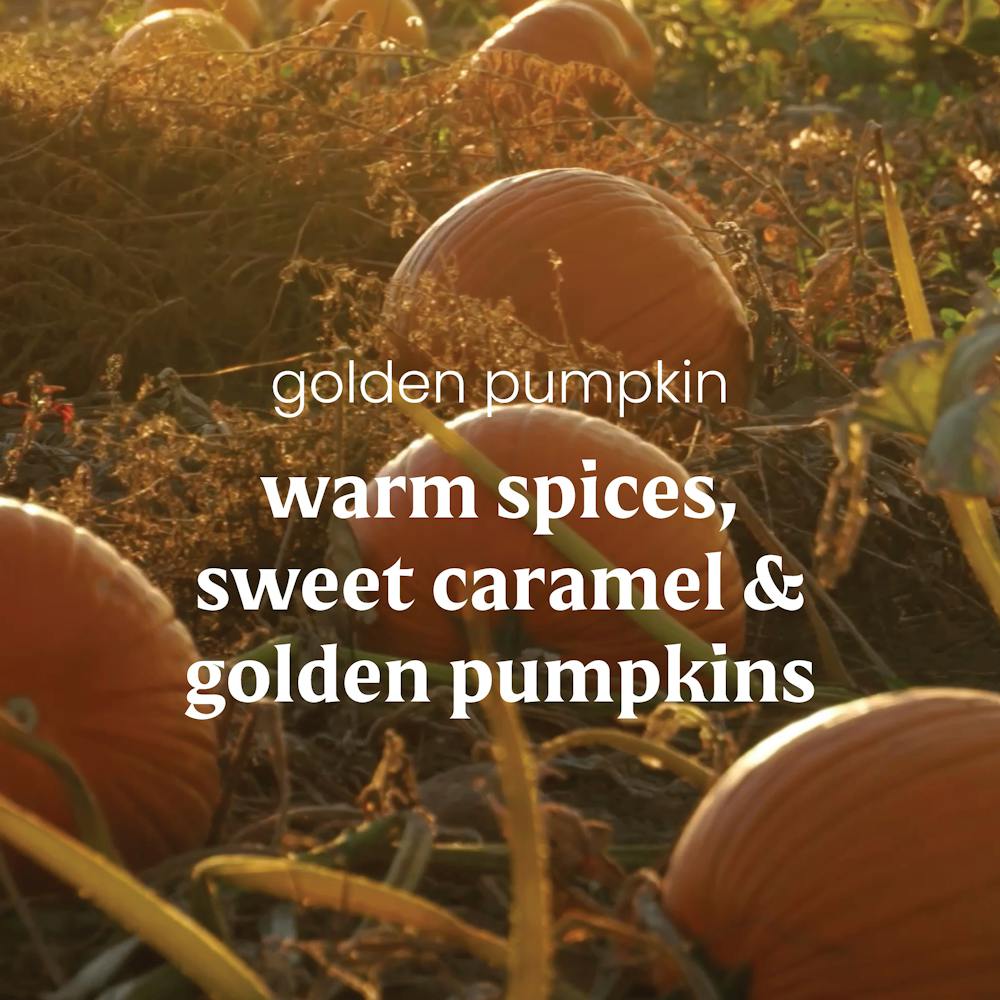 Golden Pumpkin